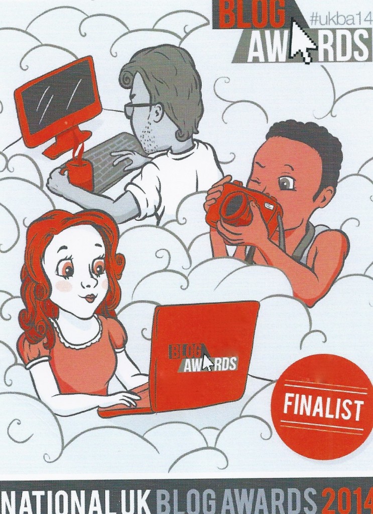 UK Blog Awards 2014 Finalist