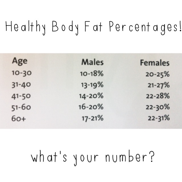 body fat percentages