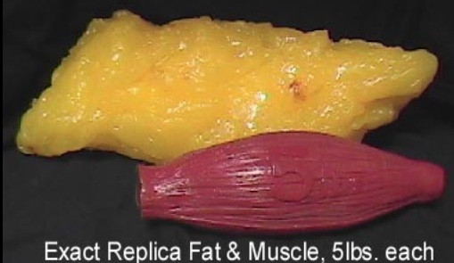 fat vs muscle 5lb