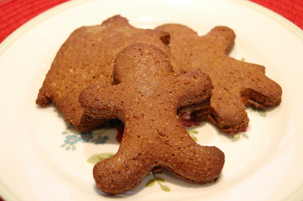 Healthy Protein Gingerbread cookies